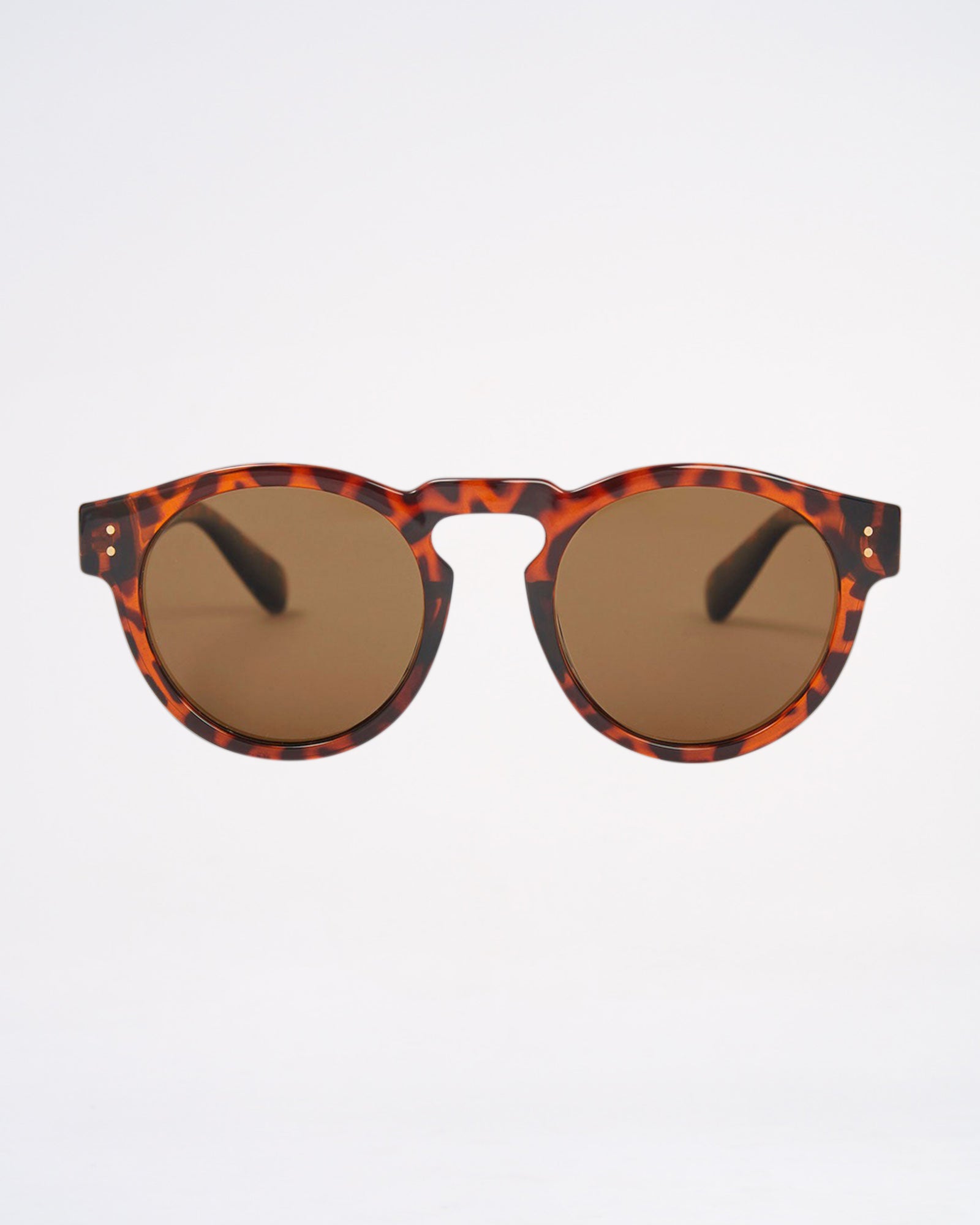 Local Supply Sunglasses BNE - Tort