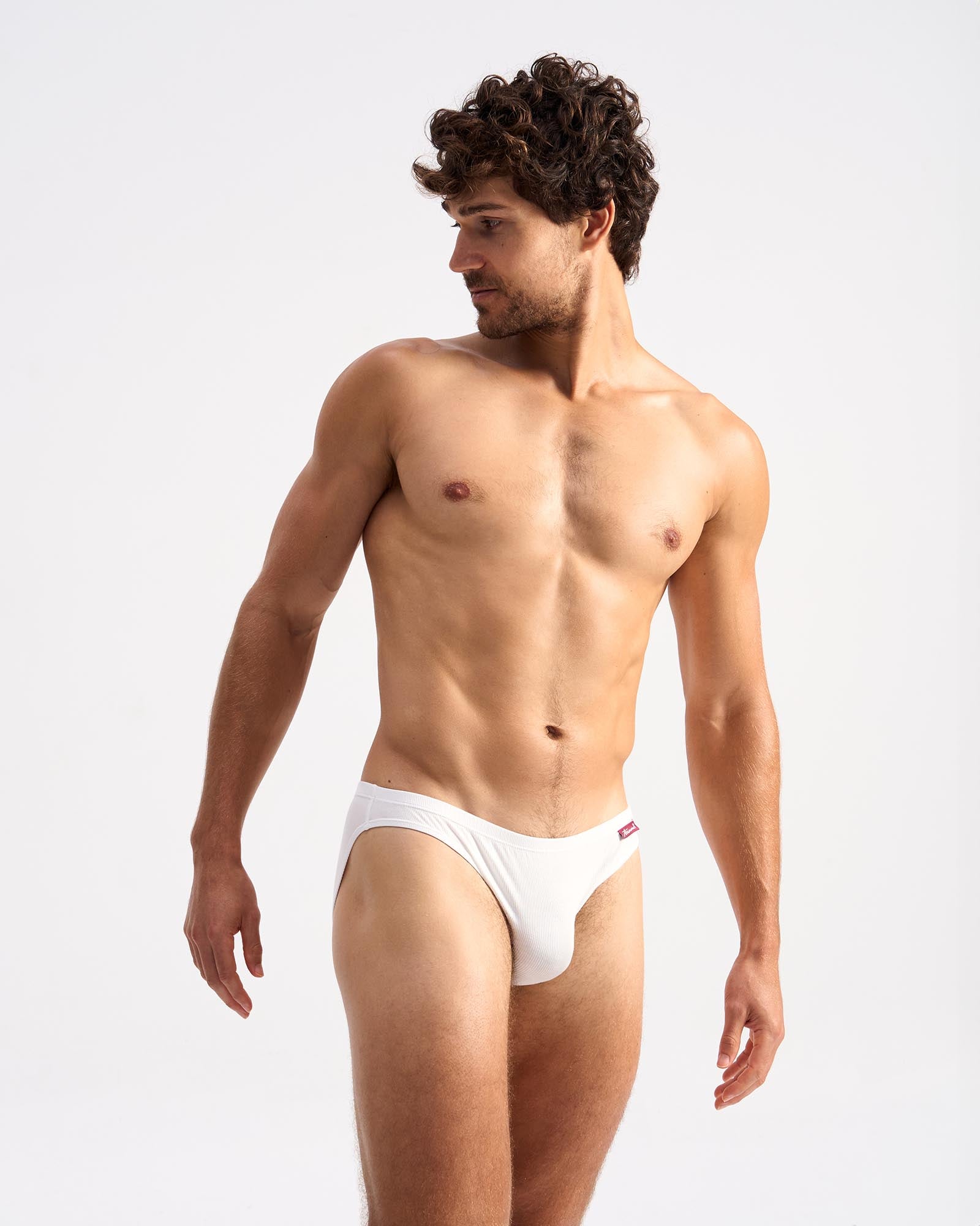 Retro Bikini Brief - Birch